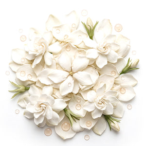 Aroma gardenia