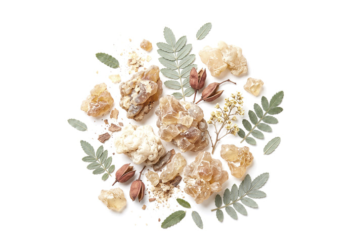 Boswellia serrata