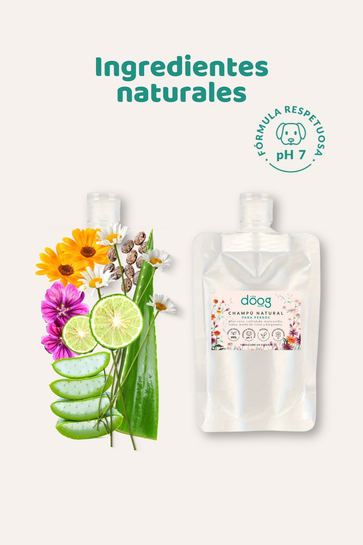 Mini talla champú
