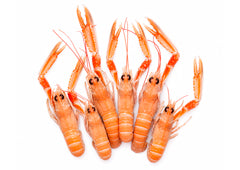 Cigalas deshidratadas