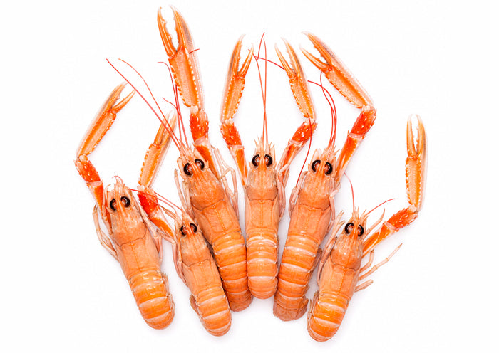 Cigalas deshidratadas