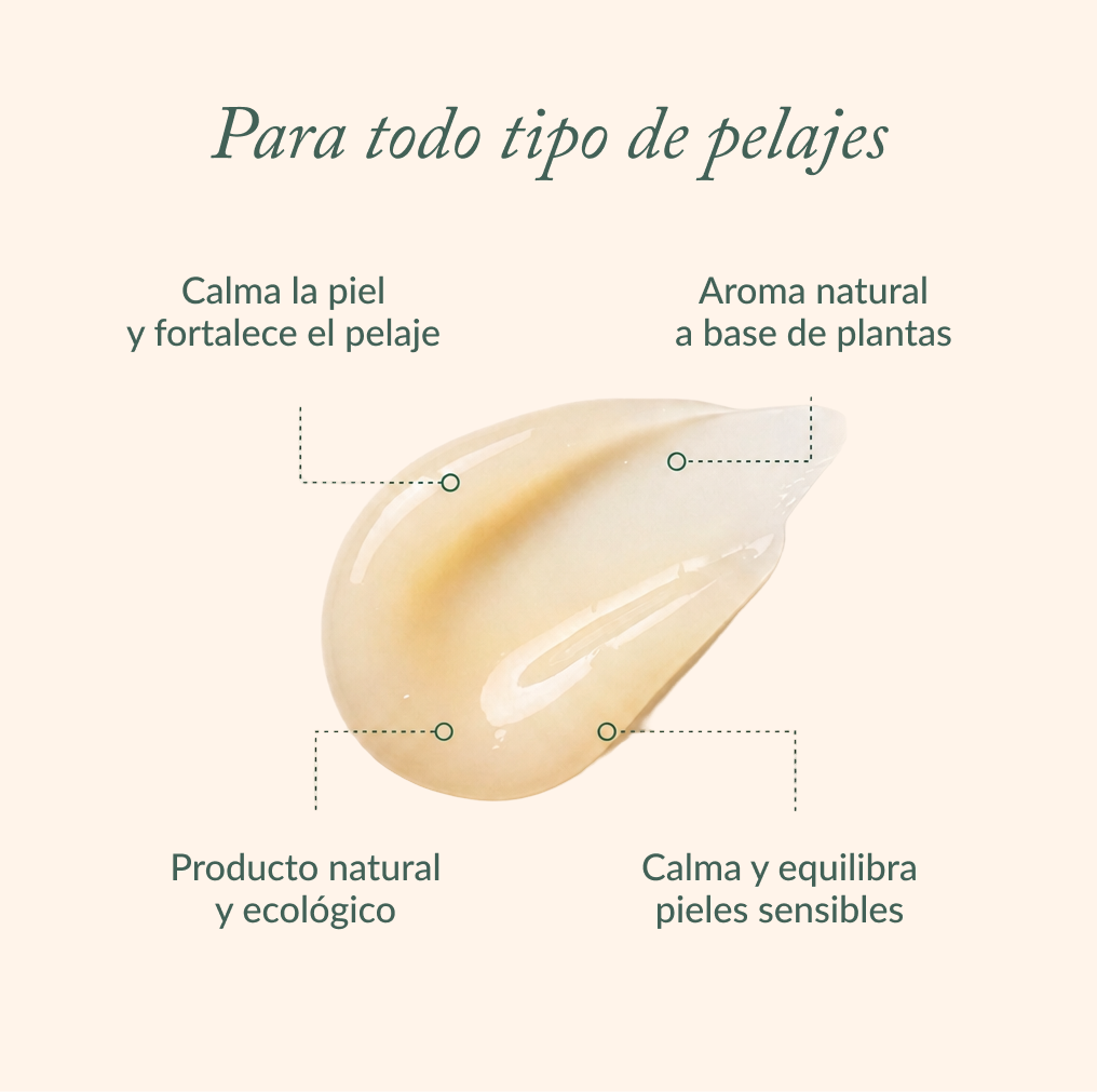 Ecological shampoo