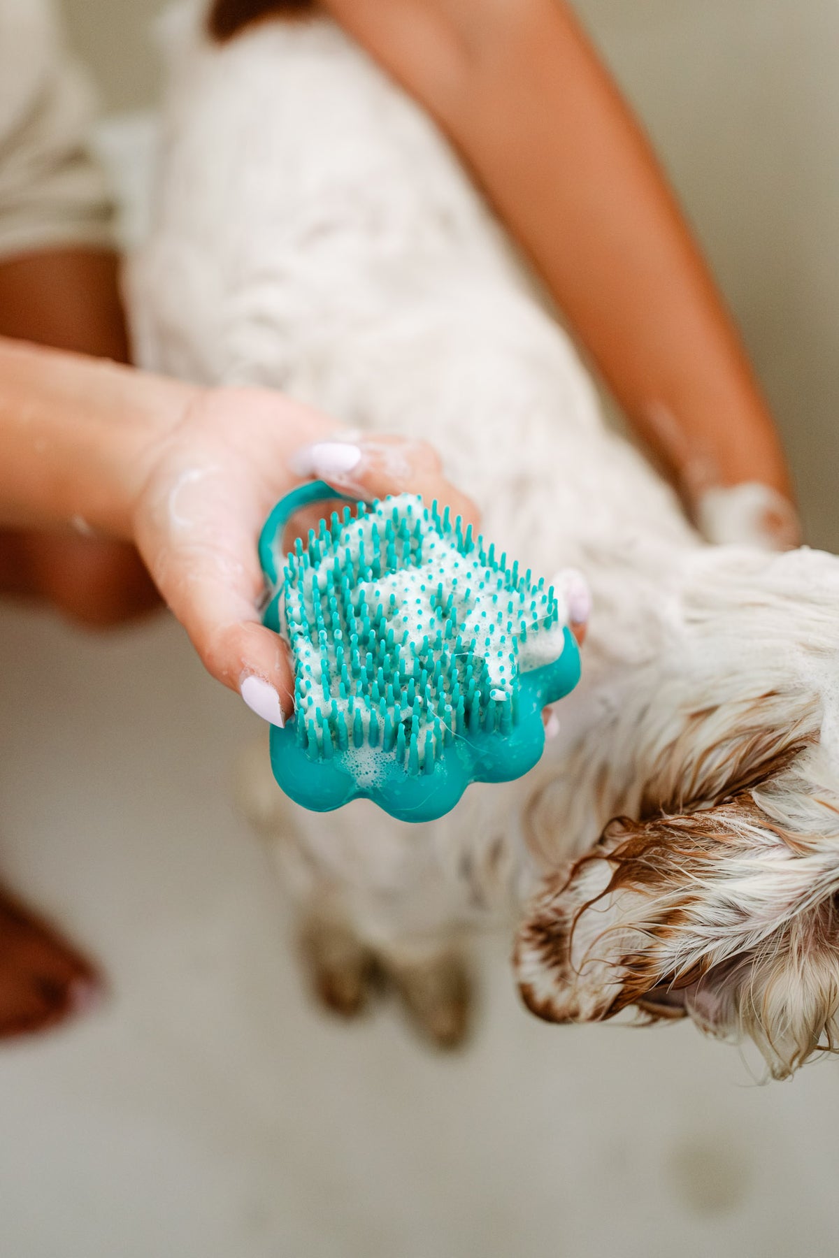 cepillo de  baño para perros