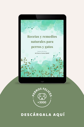 Ebook: Remedios naturales para perros