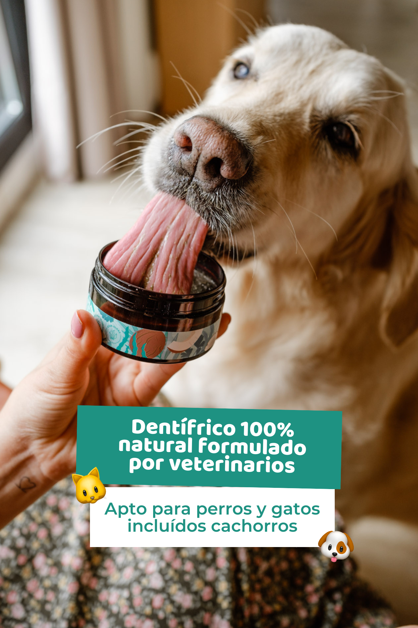 Pasta de dientes natural para perros y gatos