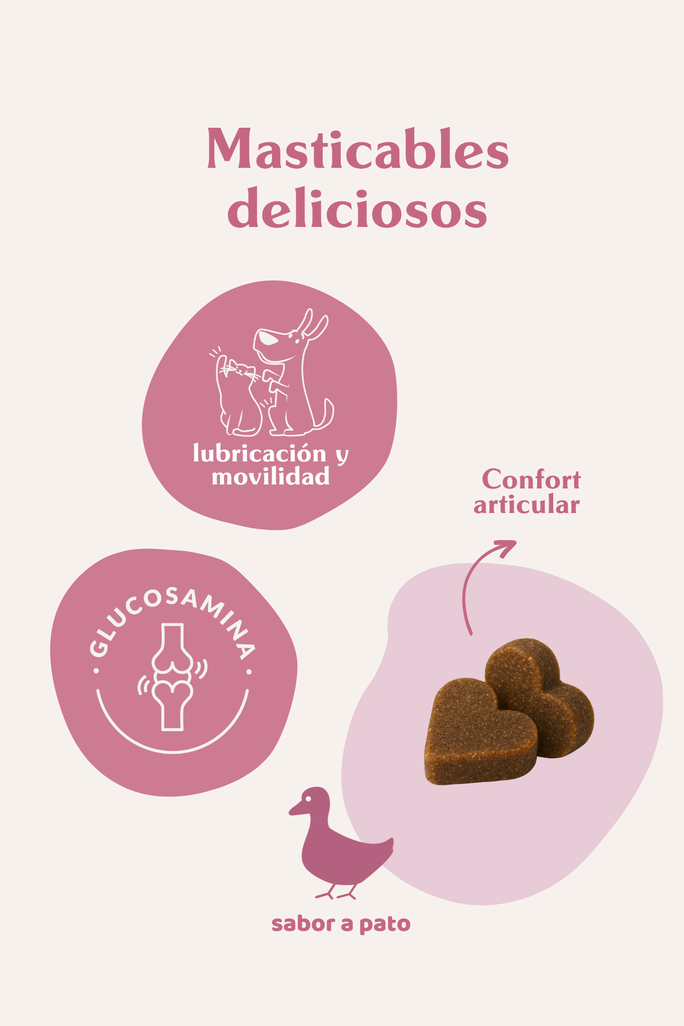 Suplemento articular perros y gatos