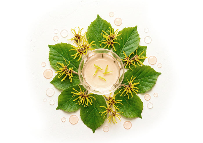 Hidrolato de hamamelis ecológico