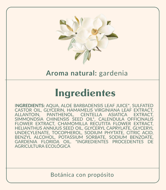 Ver todos los ingredientes