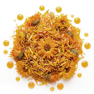Macerado de caléndula