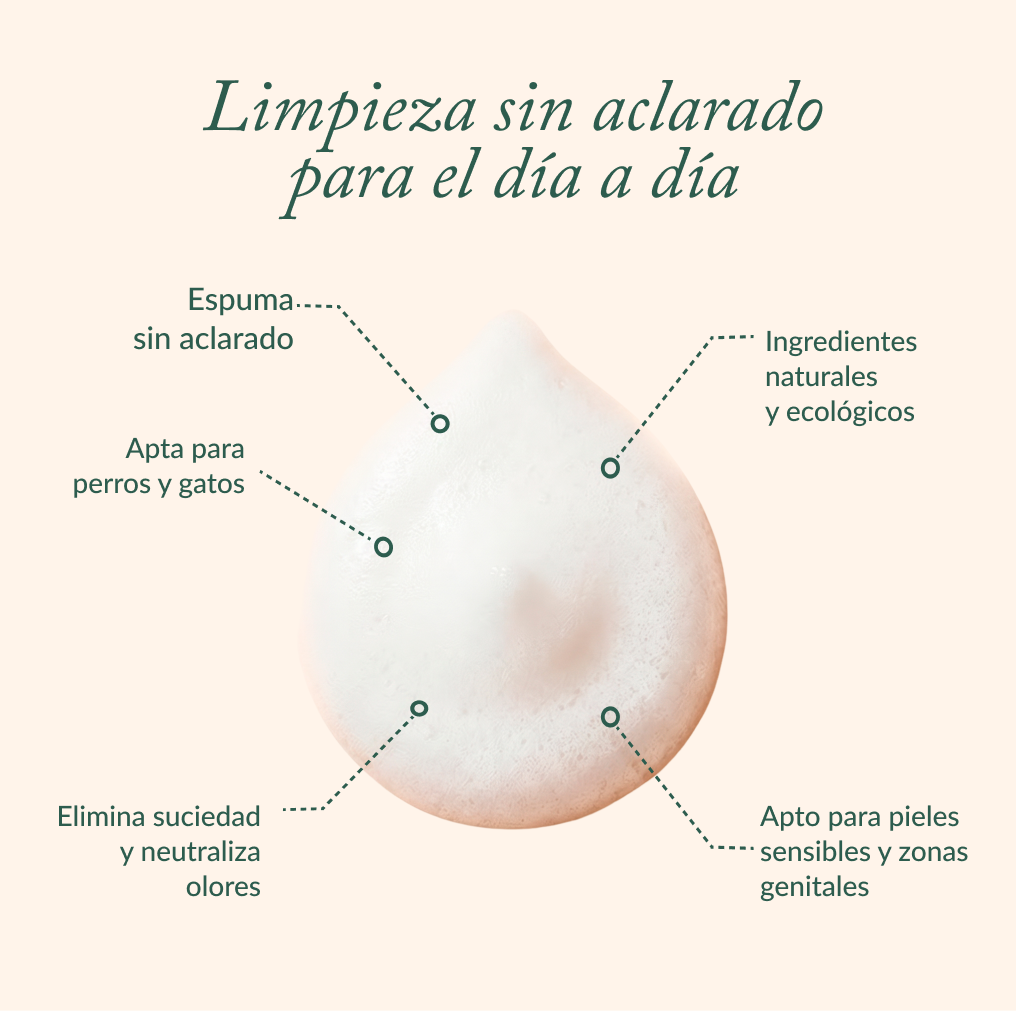 Mousse sans rinçage