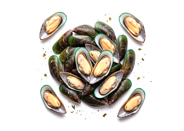 Mejillón de labio verde 