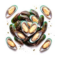 Mejillón de labio verde