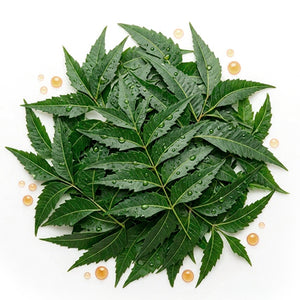 Neem