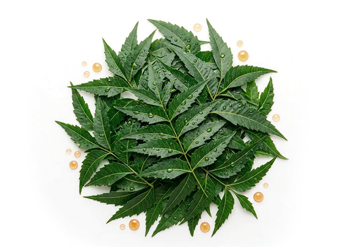 Neem