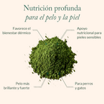 Suplemento Skin Balance