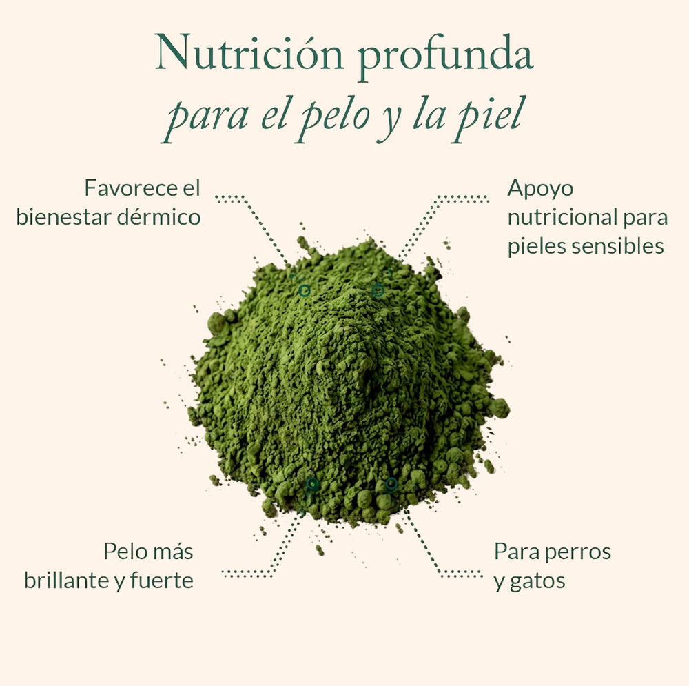Suplemento Skin Balance