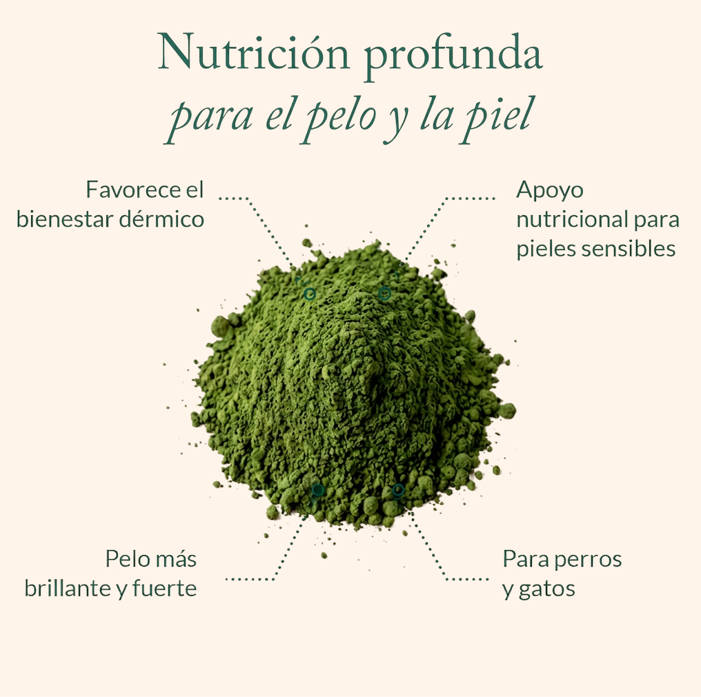 Complément Skin Balance