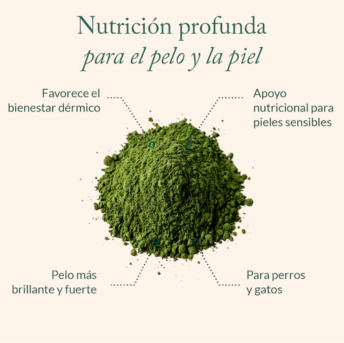 Skin Balance Supplement
