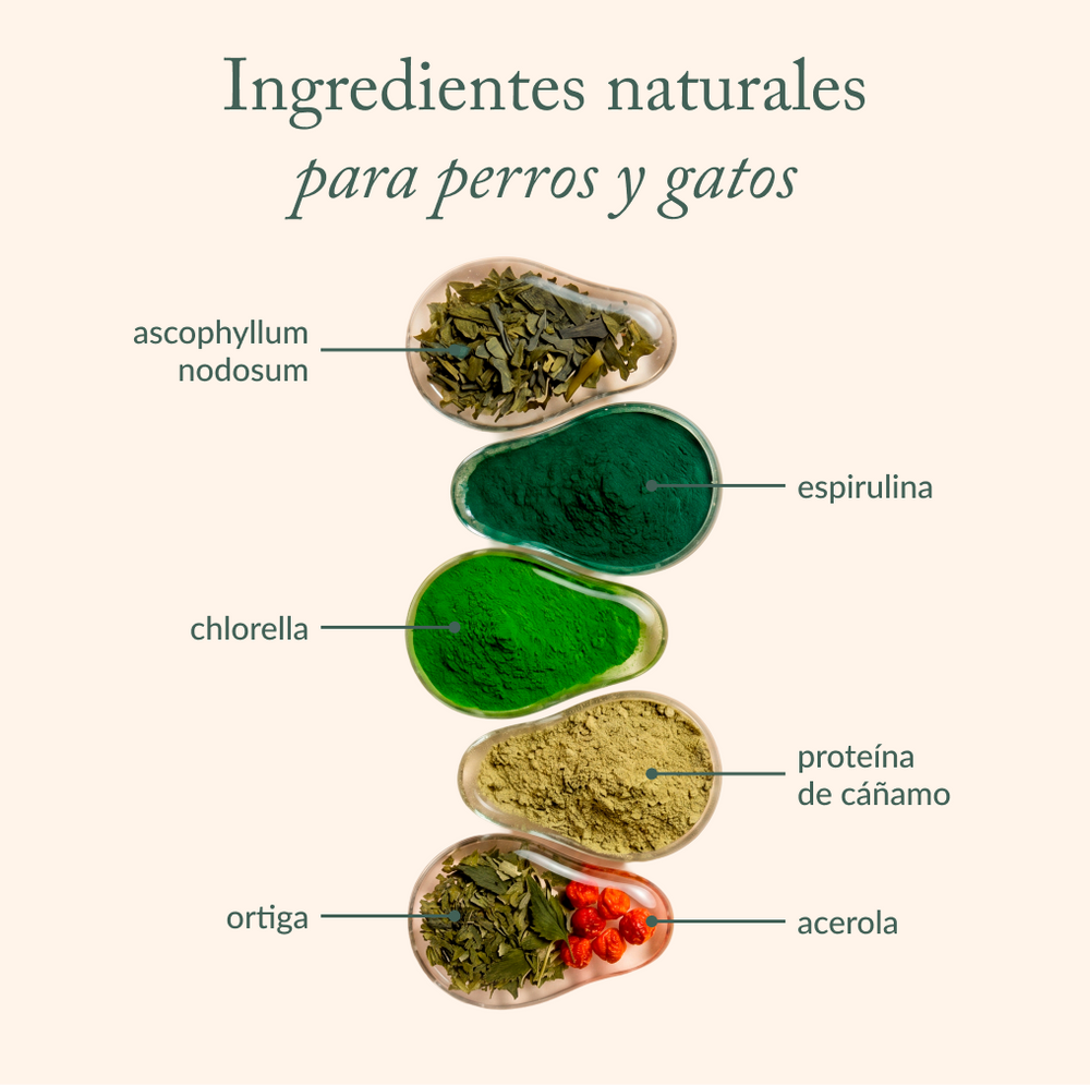 Suplemento Skin Balance