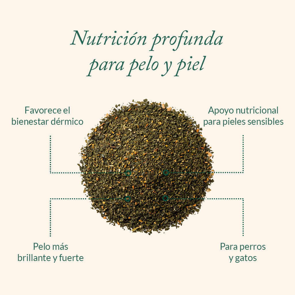 Suplemento Skin Balance
