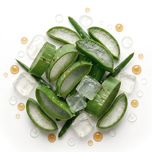 Aloe vera ecológico