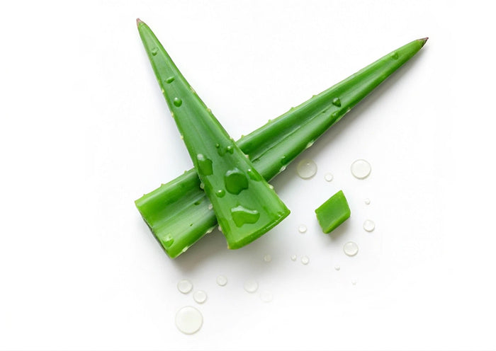 Extracto de Aloe vera