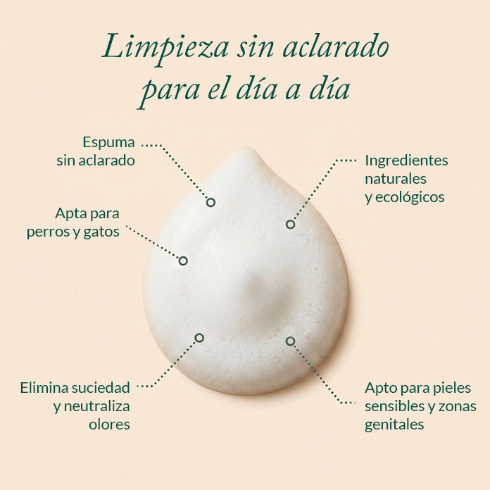 Espuma sin aclarado
