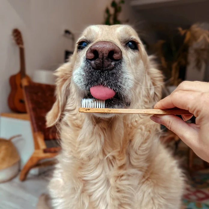 Bamboo toothbrush