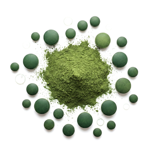 Chlorella