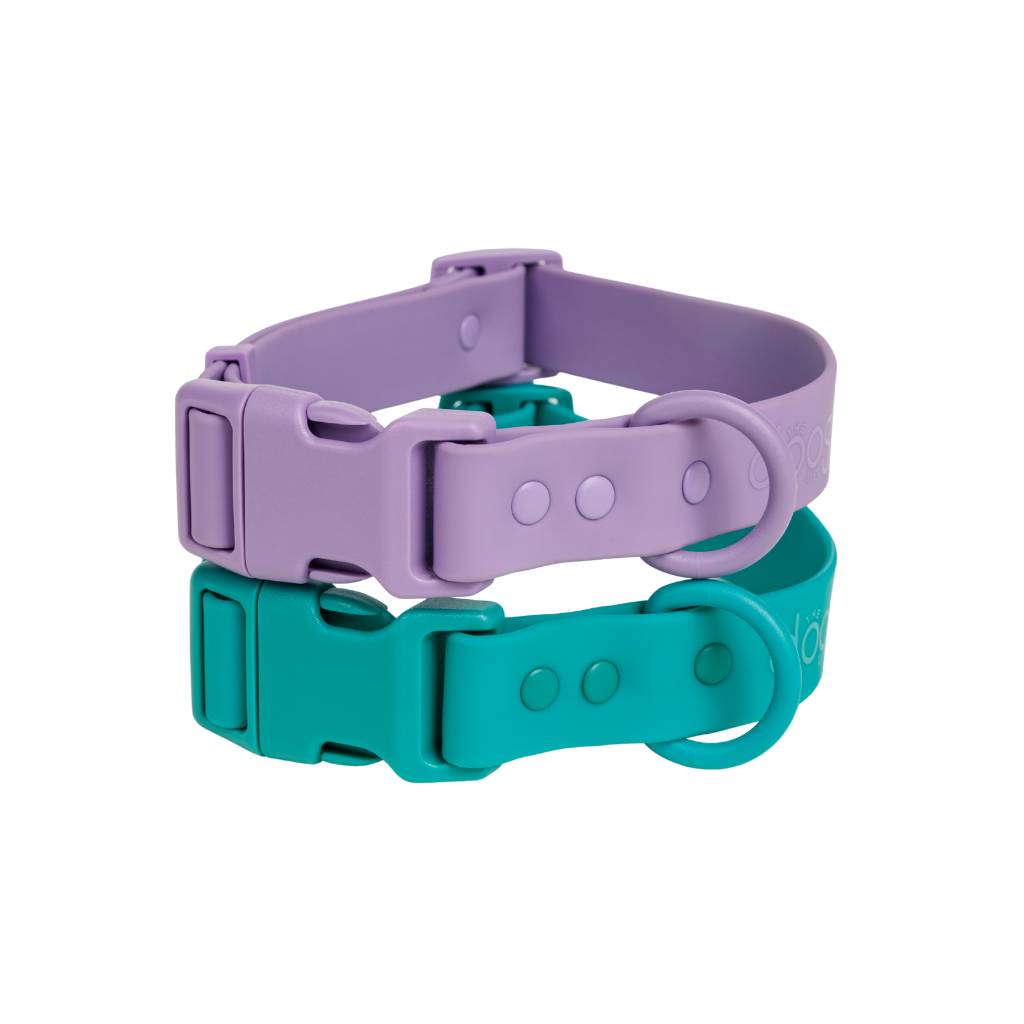 Quick-Release Collar
