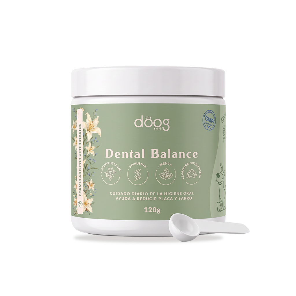 Preventa: Dental Balance