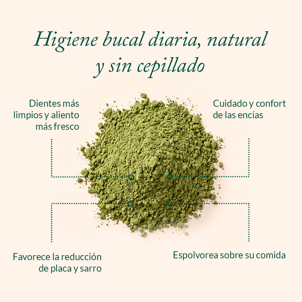 Preventa: Dental Balance
