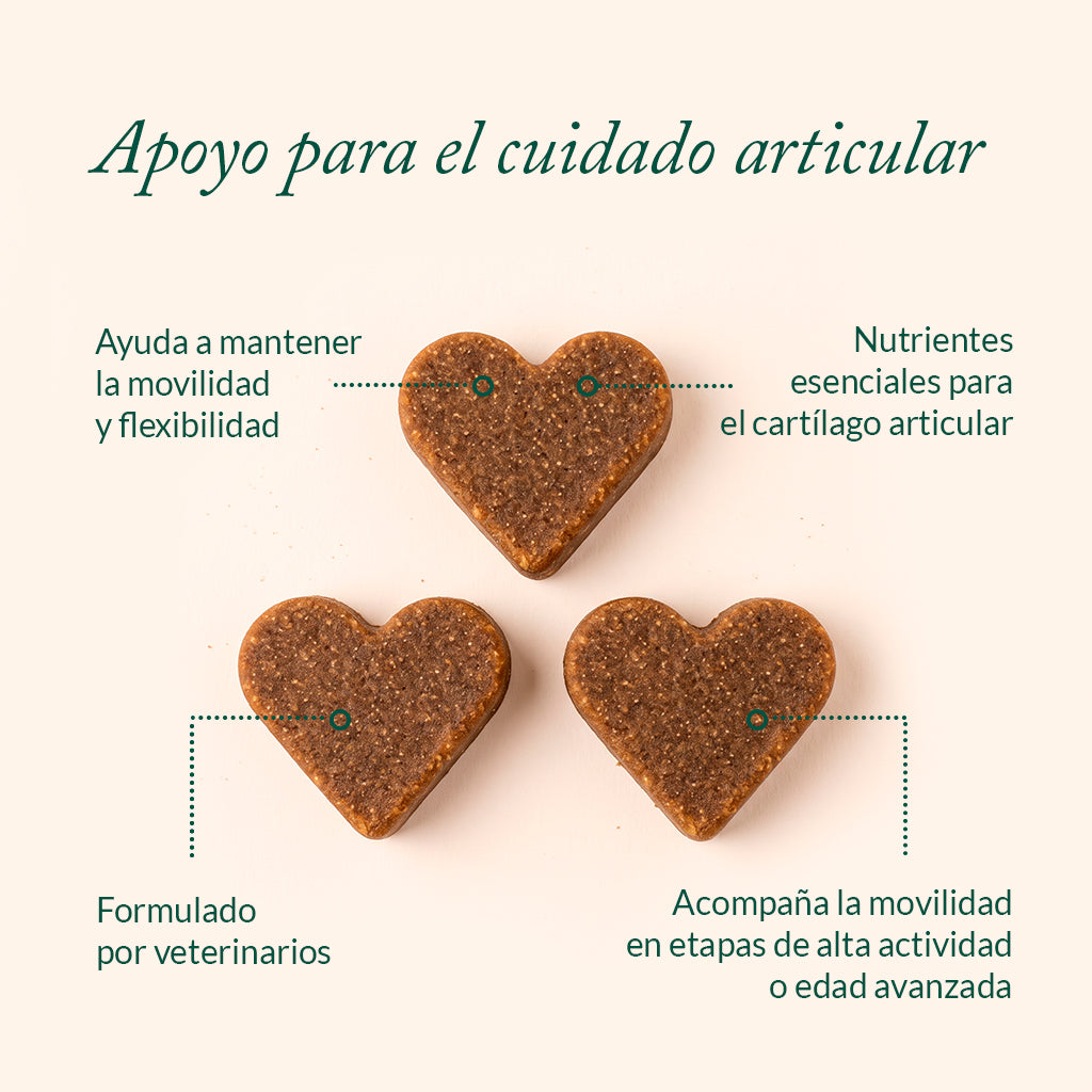 Preventa: Joint Balance