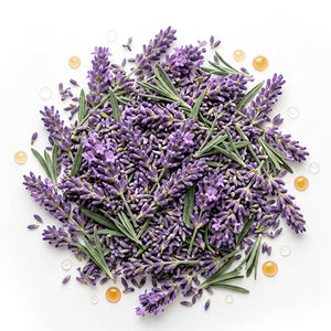 Lavanda