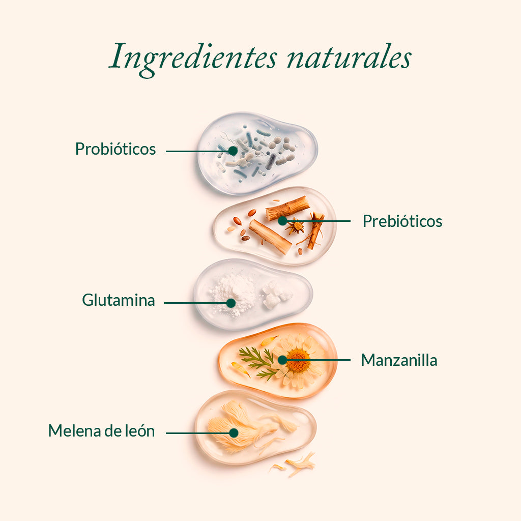 Preventa: Microbiome Balance