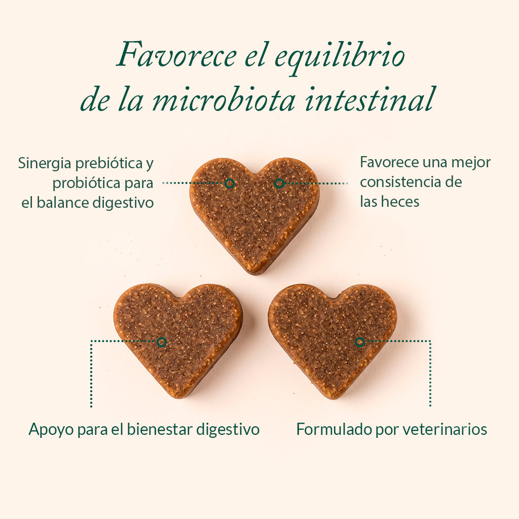 Preventa: Microbiome Balance