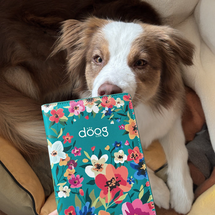Passport and pet health record cover