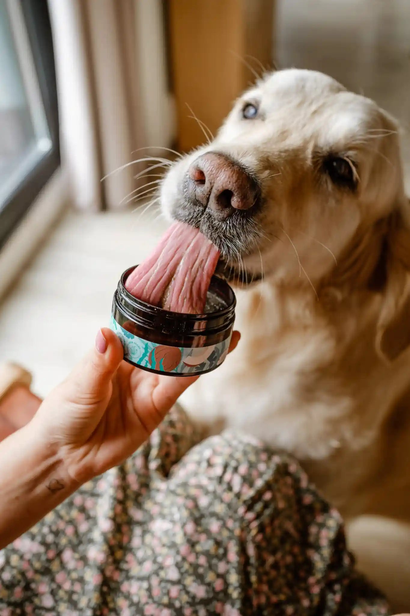 pasta de dientes para perros
