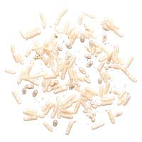 Probióticos (Bacillus velezensis)