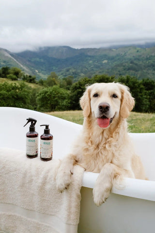 shampoo y acondicionador para perro