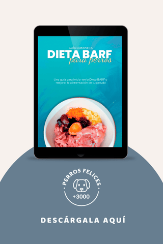 Ebook: Dieta Barf para perros. Guía completa
