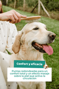 Cepillo de bambú para perros