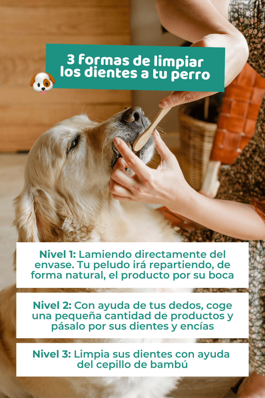 Crema Dental Test Casero De La Pasta De Dientes Pasta De Dientes