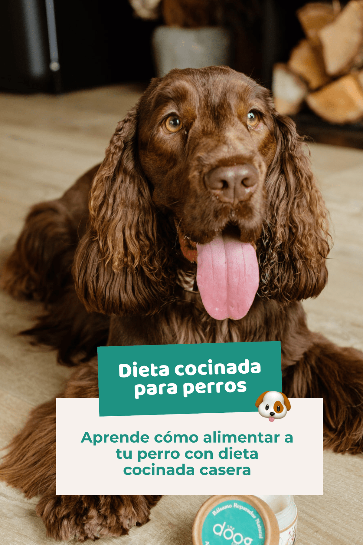 Ebook: Dieta cocinada casera para perros